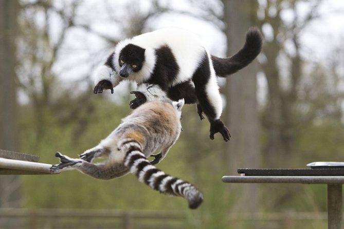 Private Return Transfer Thoiry Zoo Safari from Paris - Botanical garden time: an easy reset between animal areas
