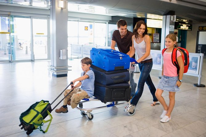 Private Shuttle from Charles de Gaulle Airport to Paris: Premium Service - Key things to know before you go