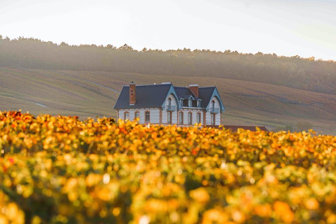 Private tour of the Champagne area, meet local producers and taste their Champagne, start from your hotel in Paris. - What You Taste, Not Just What You See