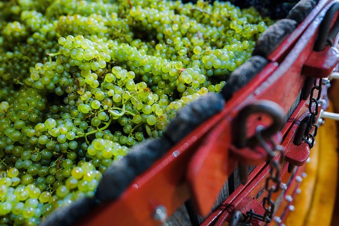 Private tour of the Champagne area, meet local producers and taste their Champagne, start from your hotel in Paris. - Another Avenue de Champagne Moment, Including a Glass and Optional Lunch