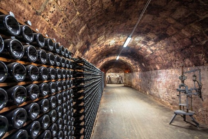 Private tour of the Champagne area, meet local producers and taste their Champagne, start from your hotel in Paris. - The Countryside Drive and Vineyard Walking Stops