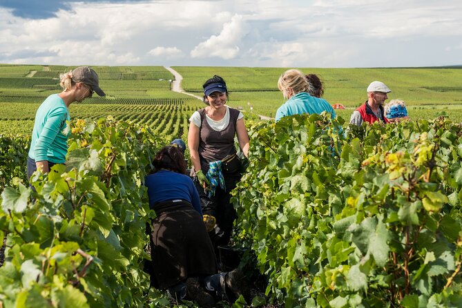 Private tour of the Champagne area, meet local producers and taste their Champagne, start from your hotel in Paris. - How the 10 to 12 Hour Timing Feels in Real Life