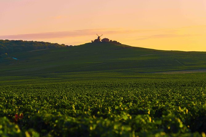 Private tour of the Champagne area, meet local producers and taste their Champagne, start from your hotel in Paris. - Avenue de Champagne and The First Cellar Stop (Where Availability Plays a Big Role)