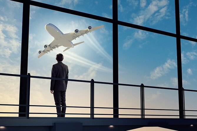 Private Transfer FROM Orly Airport TO Paris - Quick highlights from Orly to Paris, private transfer