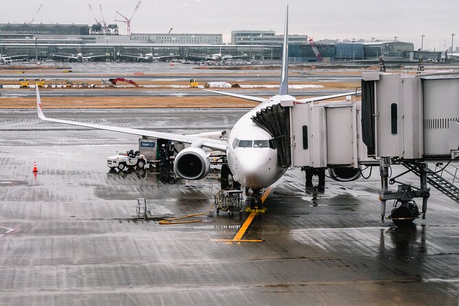 Private Transfer from Paris to CDG and Orly Airport - Price and Value: What $145 Buys You (and What It Does Not)