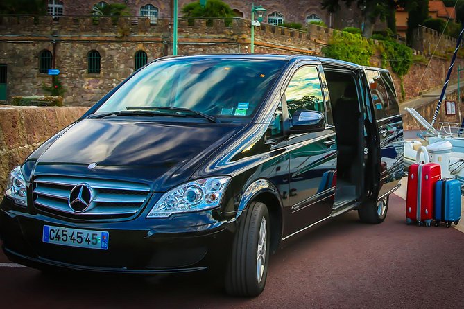 Private transfer from Paris to Disneyland - Key Points at a Glance