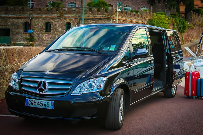 Private Transfer from Paris to Disneyland (One way) - Key points to know before you go