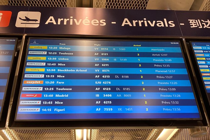 Private Transfer from Roissy CDG Airport to Disneyland Paris - Vehicle Comfort, Cleanliness, and Driver Help With Bags