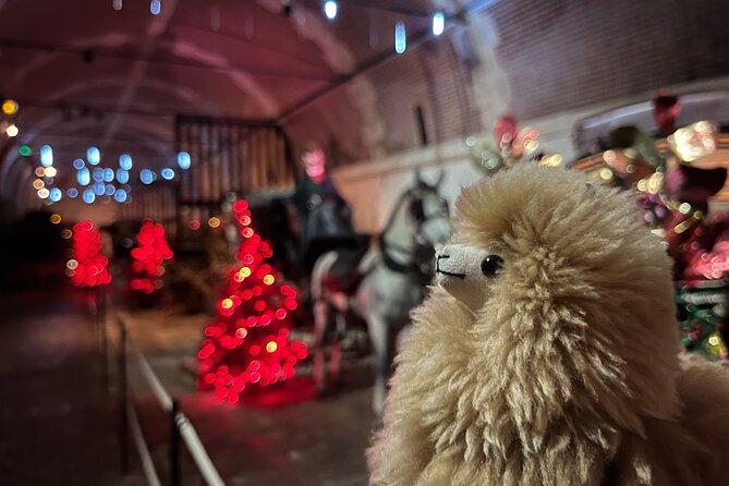 Private Vaux-le-Vicomte Candlelight Half-Day Escape from Paris - Château de Vaux-le-Vicomte: candles, Christmas scenes, and a guide who makes it click
