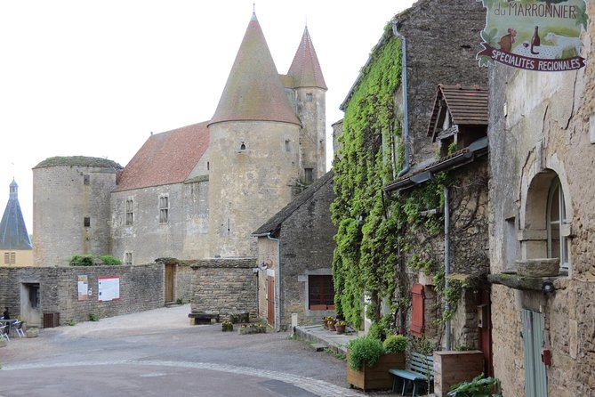 Private Wine Tour to Burgundy Region from Paris - Key Highlights You’ll Actually Care About