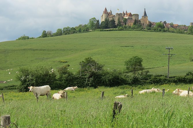 Private Wine Tour to Burgundy Region from Paris - Why This Burgundy Day Feels Effortless From Paris