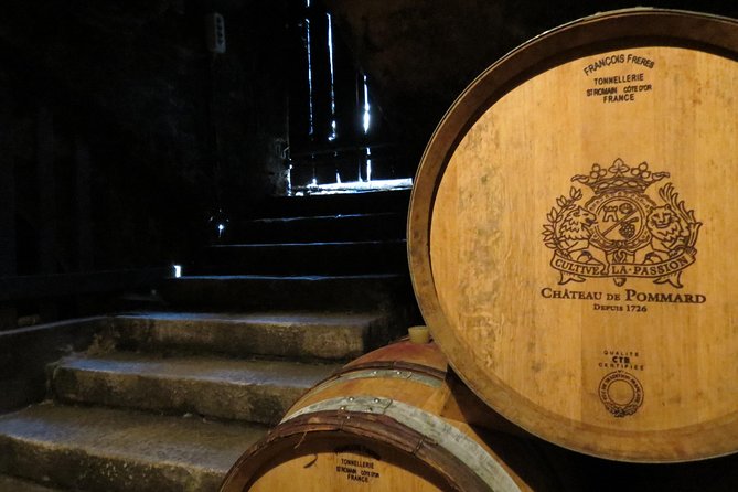 Private Wine Tour to Burgundy Region from Paris - Beaune and the Hospices de Beaune Museum Visit