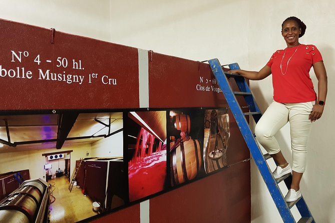 Private Wine Tour to Burgundy Region from Paris - Chateau de Pommard: One of Burgundy’s Big Names