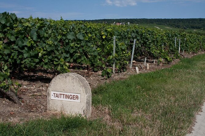 Private wine tour to Champagne region from Paris - Key things I’d bank on before you go