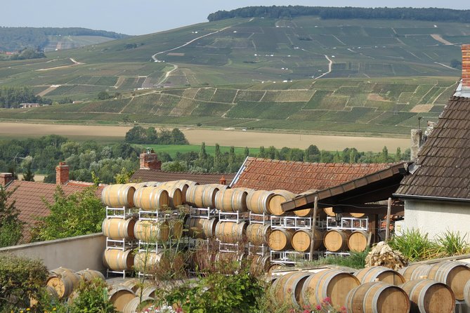Private wine tour to Champagne region from Paris - Taittinger: oldest cellars, guided tour, and one to two pours