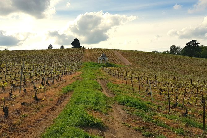 Private wine tour to Champagne region from Paris - Pommery in Reims: art-filled cellars and the classic Brut story