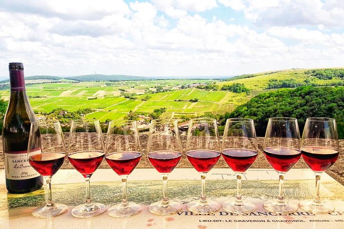 Private wine tour to Sancerre vineyards from Paris with Sommelier - Key highlights worth waking up for