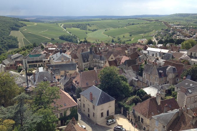 Private wine tour to Sancerre vineyards from Paris with Sommelier - Why a private Sancerre day trip from Paris feels different