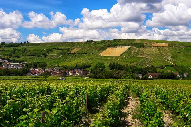 Private wine tour to Sancerre vineyards from Paris with Sommelier - Who this tour suits best, and who should think twice