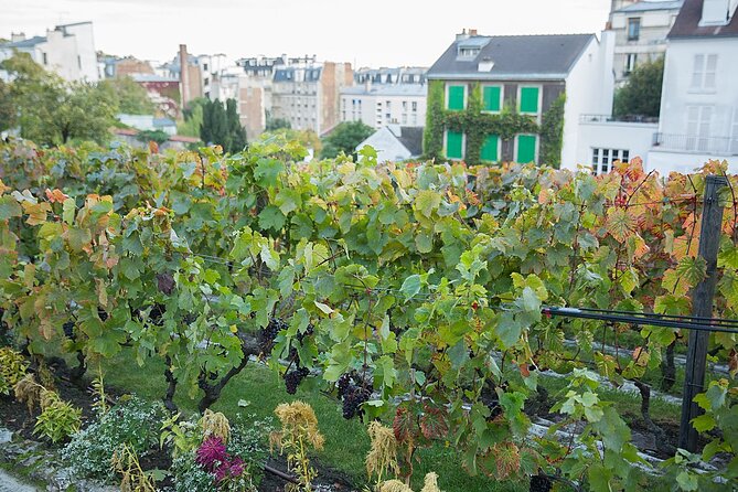 Small group visit to the Montmartre district in Italian - Place du Tertre and the Artist-Square Energy