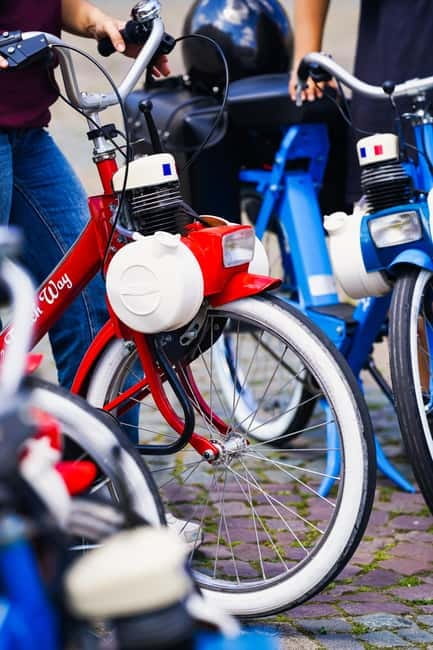 Solex Guided Tour of Intellectual Paris - Riding along the UNESCO Seine riverbanks
