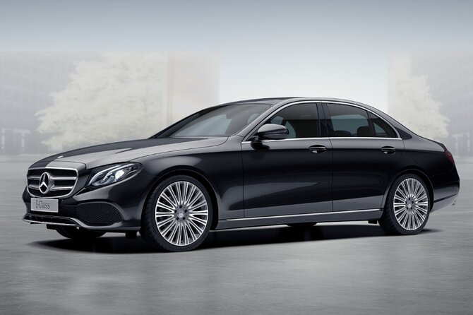 Transfer from Orly/CDG/LBG Airport to Paris (E-Class 2pax) - Getting dropped off in Paris: hotel or private residence