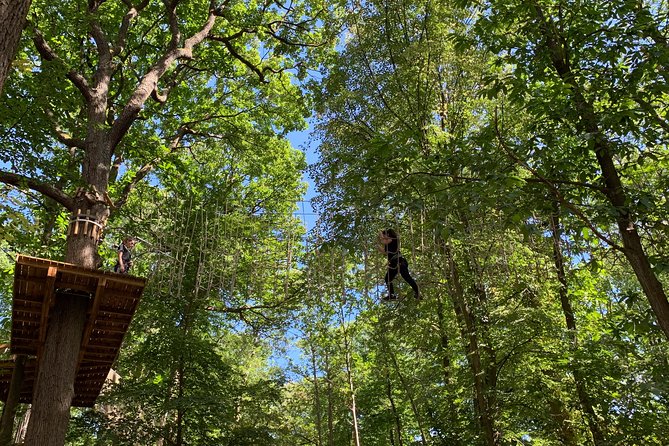Tree Top Adventure in Forest of Meudon - Key things to know before you go