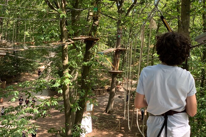 Tree Top Adventure in Forest of Meudon - Tree Top Courses in the Forêt de Meudon, With Safety First