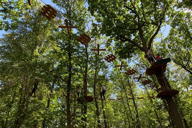 Tree Top Adventure in Forest of Meudon - Timing and the Human Factor: Waiting, Pace, and Team Energy