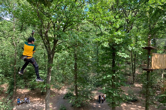 Tree Top Adventure in Forest of Meudon - Choosing Course Levels: Blue, Red, and the Full-Course Pass Idea