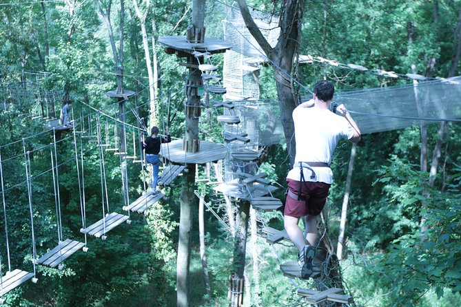 Tree Top Adventure in Rueil-Malmaison - Key things to know before you go