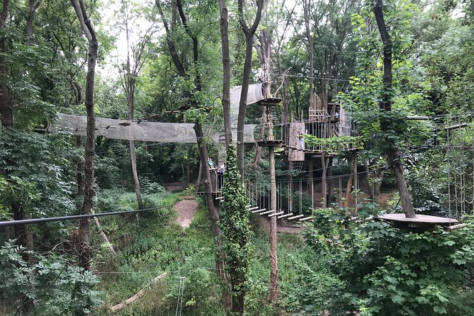 Tree Top Adventure in Rueil-Malmaison - AccroCamp Rueil-Malmaison, a forest break that fits your Paris schedule
