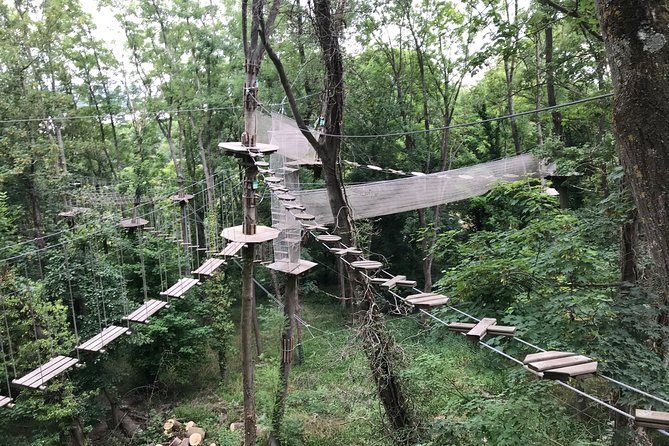 Tree Top Adventure in Rueil-Malmaison - Should you book AccroCamp Tree Top Adventure?