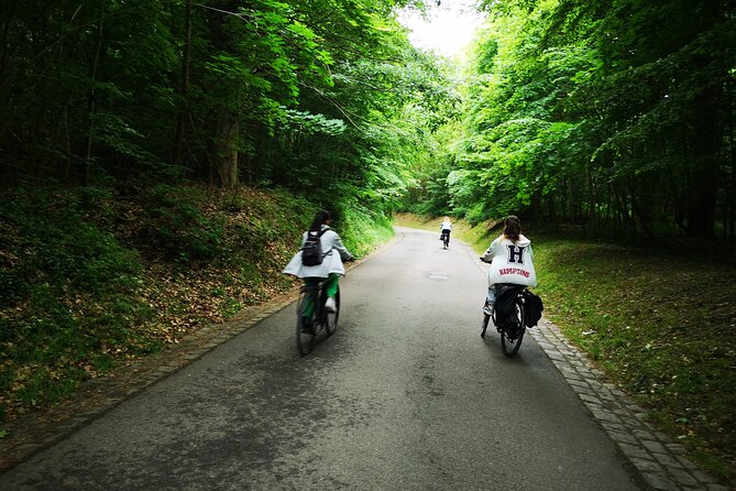 Versailles Full-Day Electric Bike Tour : Market, Picnic & Palace - Saint-Cloud viewpoint stops: quick energy boosts with big payoff
