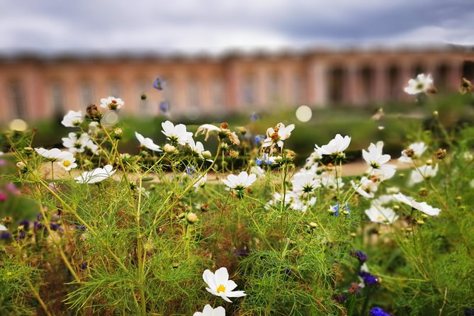 Versailles Full Day Private Guided Tour with Hotel Pickup - Guide Quality Matters More Than You Think