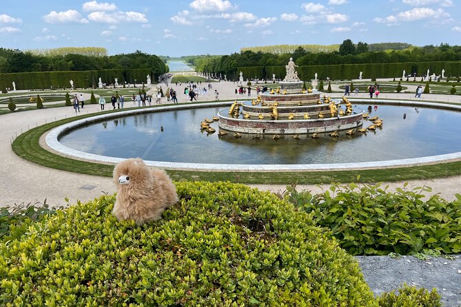Versailles Half Day Private Tour Trianons & Gardens Included - The Palace of Versailles visit: guided context, not just photos