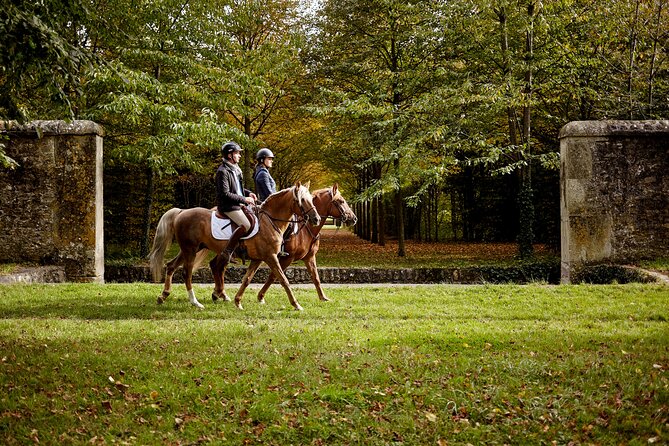 Versailles Private Tour : Horse-riding, Gastronomy & the Palace - Horse-riding in the Versailles gardens, matched to your riding level