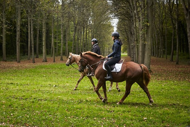 Versailles Private Tour : Horse-riding, Gastronomy & the Palace - Price and value: why this costs a lot, and when it makes sense