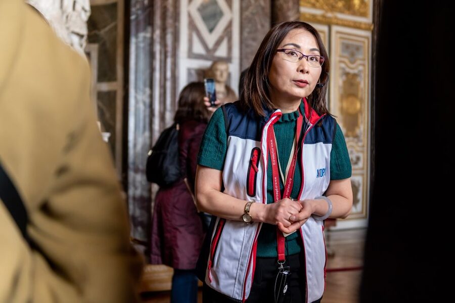 Versailles: Private Tour of the Palace with Reserved Entry - Should You Book This Versailles Reserved-Entry Private Tour?