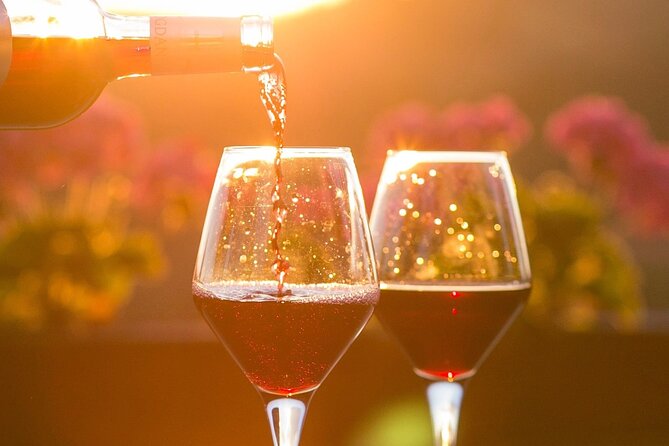 Vineyard tour and wine tasting in Davron - Vineyards in the Versailles plain, just 25 minutes from Paris