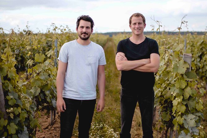 Vineyard tour and wine tasting in Davron - Tasting 3 vintages: how to get more from each pour