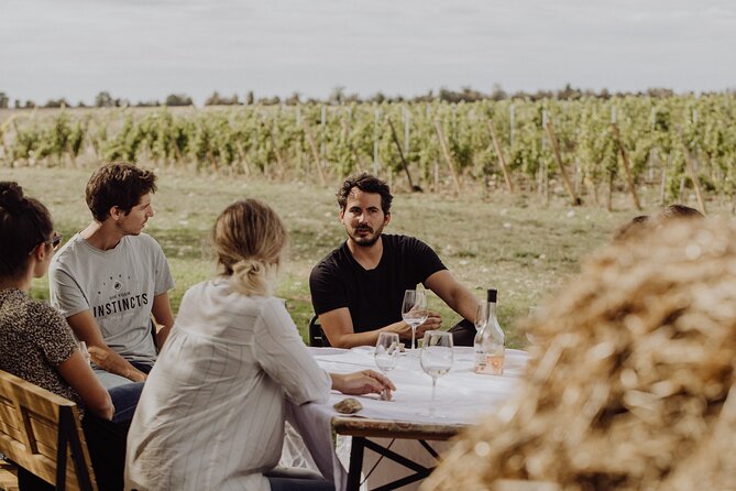 Vineyard tour and wine tasting in Davron - Price and value at $41.70, with no air-conditioned vehicle