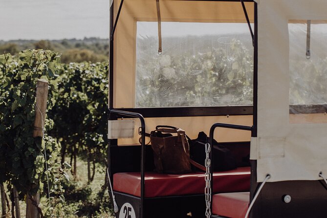 Vineyard tour and wine tasting in Davron - Who this Davron wine tour suits best