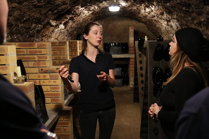 VIP Champagne Region Day Trip with 7 Tastings & Lunch from Paris - Your guide matters: the small group experience and the storytelling effect