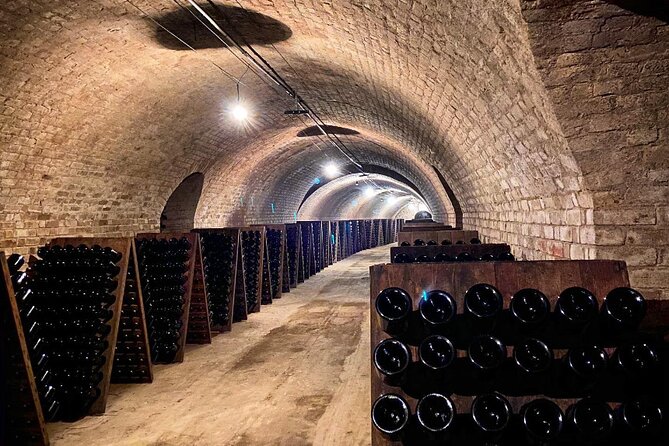 VIP Champagne Region Day Trip with 7 Tastings & Lunch from Paris - Lunch in Champagne country: what is included and how to plan around it
