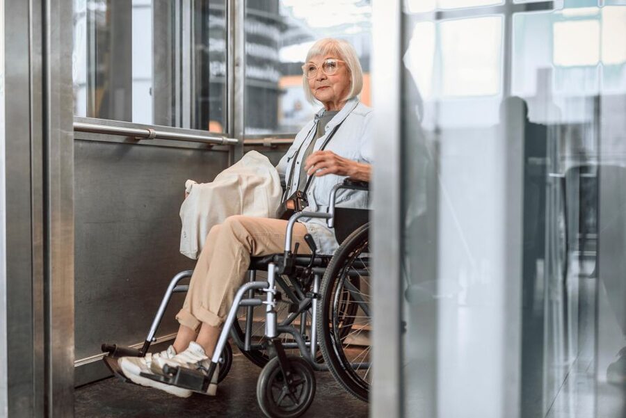 Wheelchair-Frendly Private Louvre Tour – Stress-Free & Easy - The must-sees you can plan around, including Mona Lisa and Venus de Milo