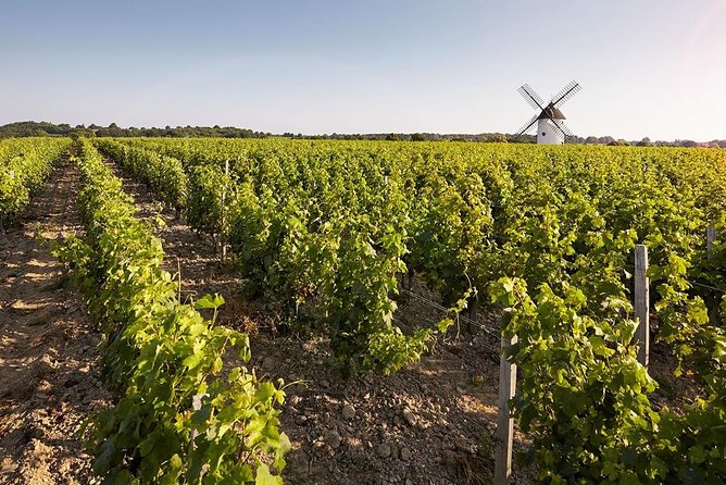 Wine tasting tour in Loire Valley with castle visits and lunch - The guide difference: why this day can feel personal