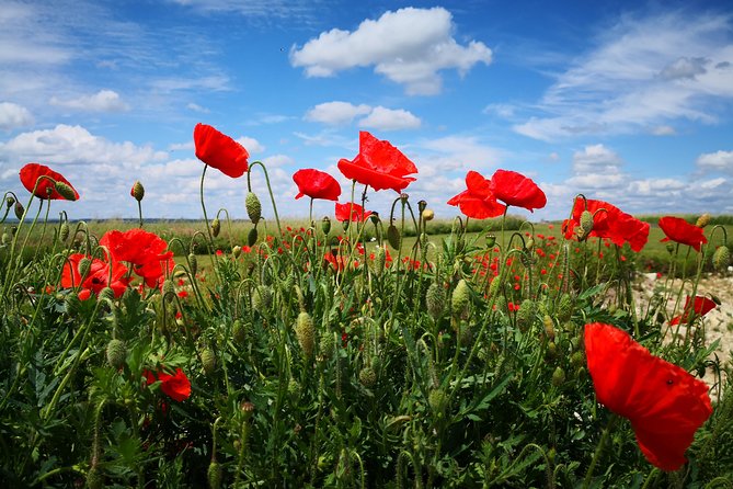 WW1 Australians in the Somme -Villers Bretonneux, Le Hamel - Day trip from Paris - Pozières Windmill Memorial: Australian Sacrifice and a Link to Canberra