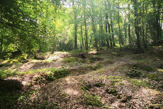WW1 Belleau Wood and American Monument in Château-Thierry - Day trip from Paris - Devil Dog Fountain: a short stop with a surprisingly sharp emotional punch